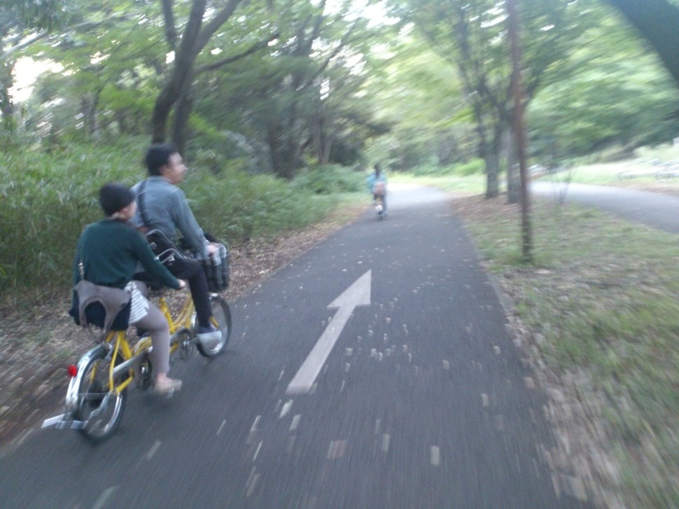 デート 昭和記念公園 大切な人とお花畑や庭園を自転車でサイクリング Playlife プレイライフ