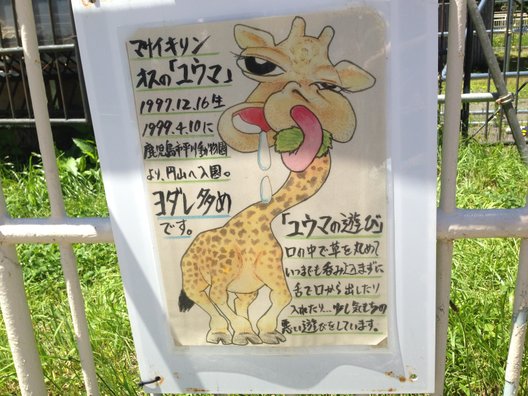 円山動物園