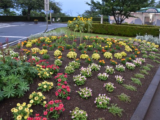 かみね公園