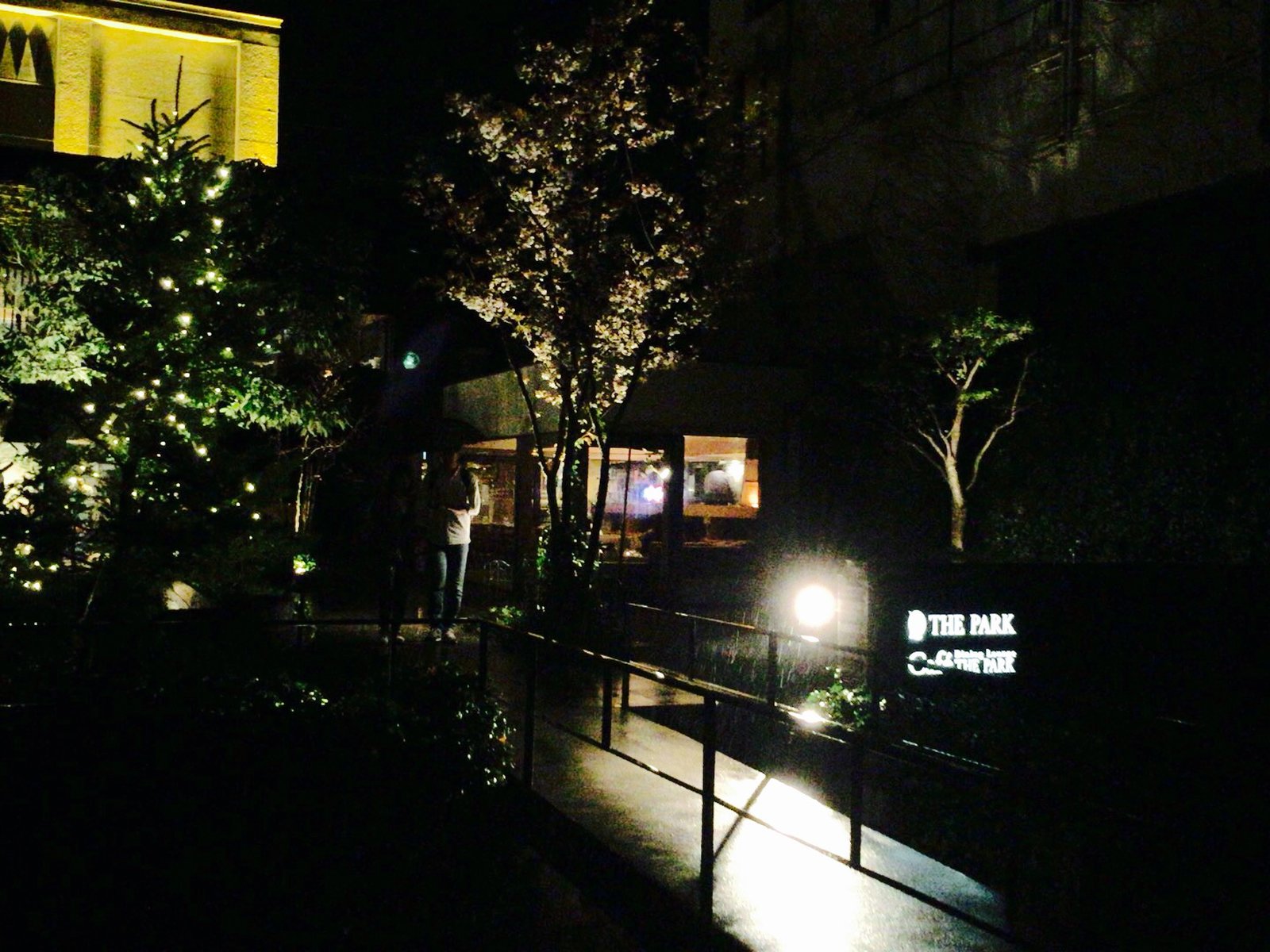 米子で夜カフェ 加茂川沿いにある最強のおしゃれカフェ カフェザパークへ行ってみよう Playlife プレイライフ