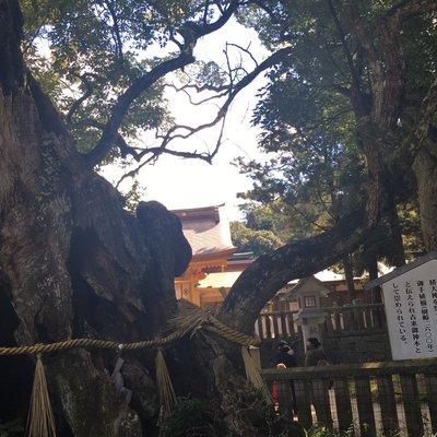 大山祇神社