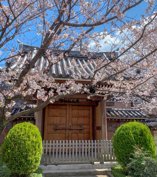 安養院