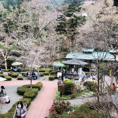 澤乃井園 清流ガーデン