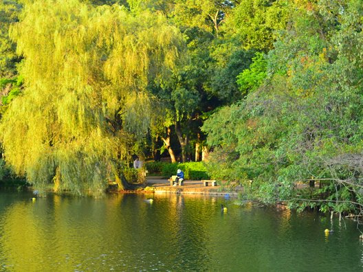 井の頭公園