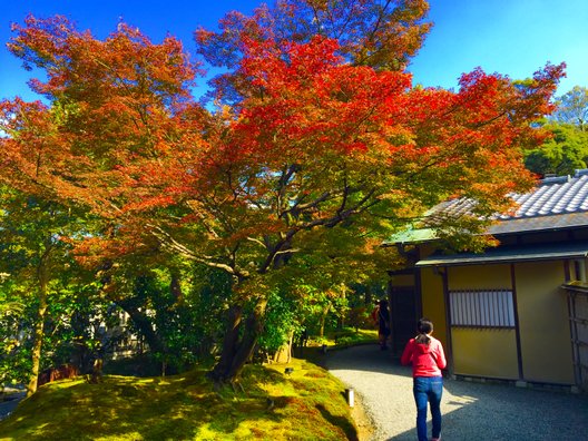 高台寺