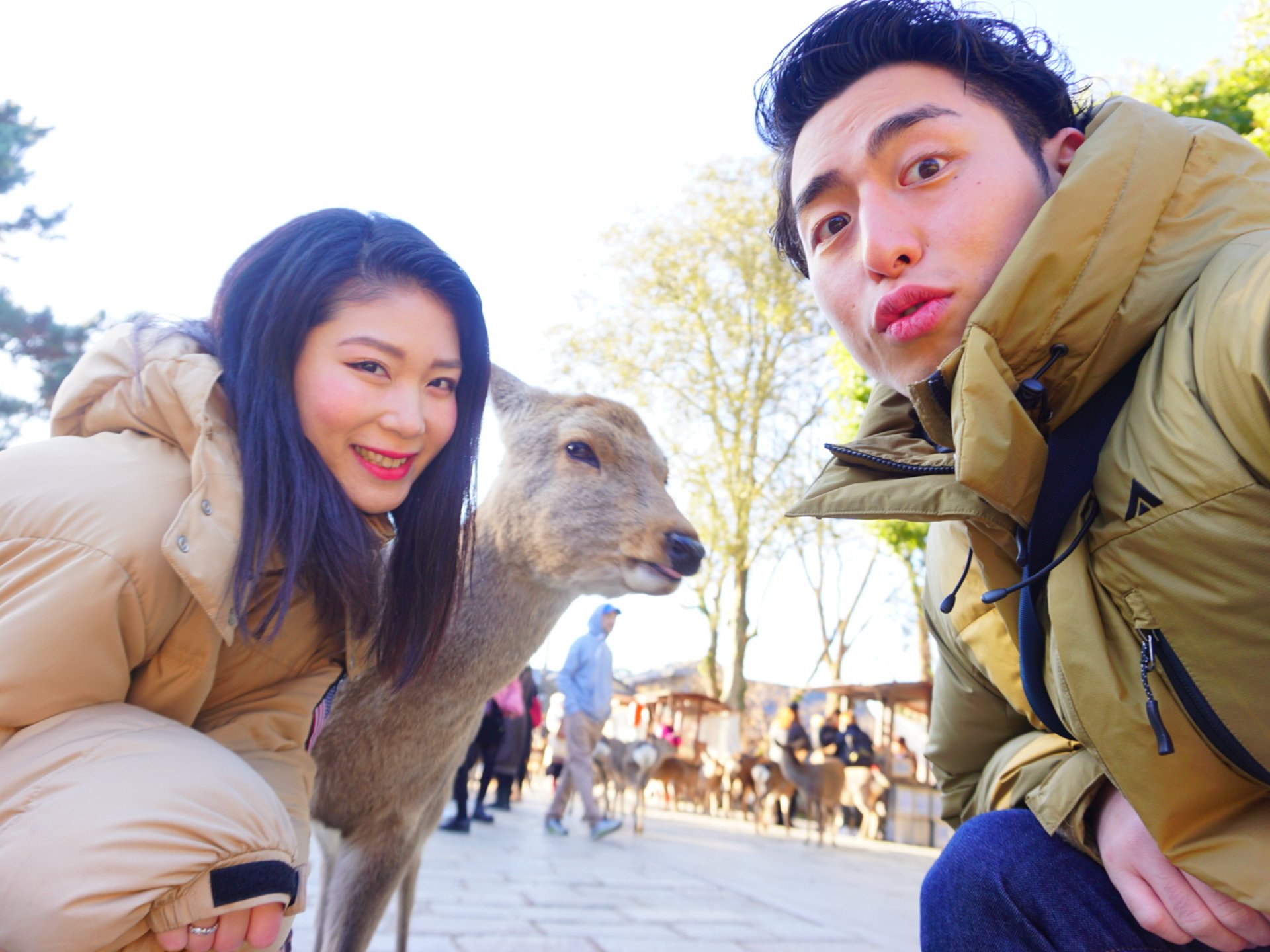 「奈良公園」でシカと戯れよう♪愛が深まる奈良の定番スポットデートプラン
