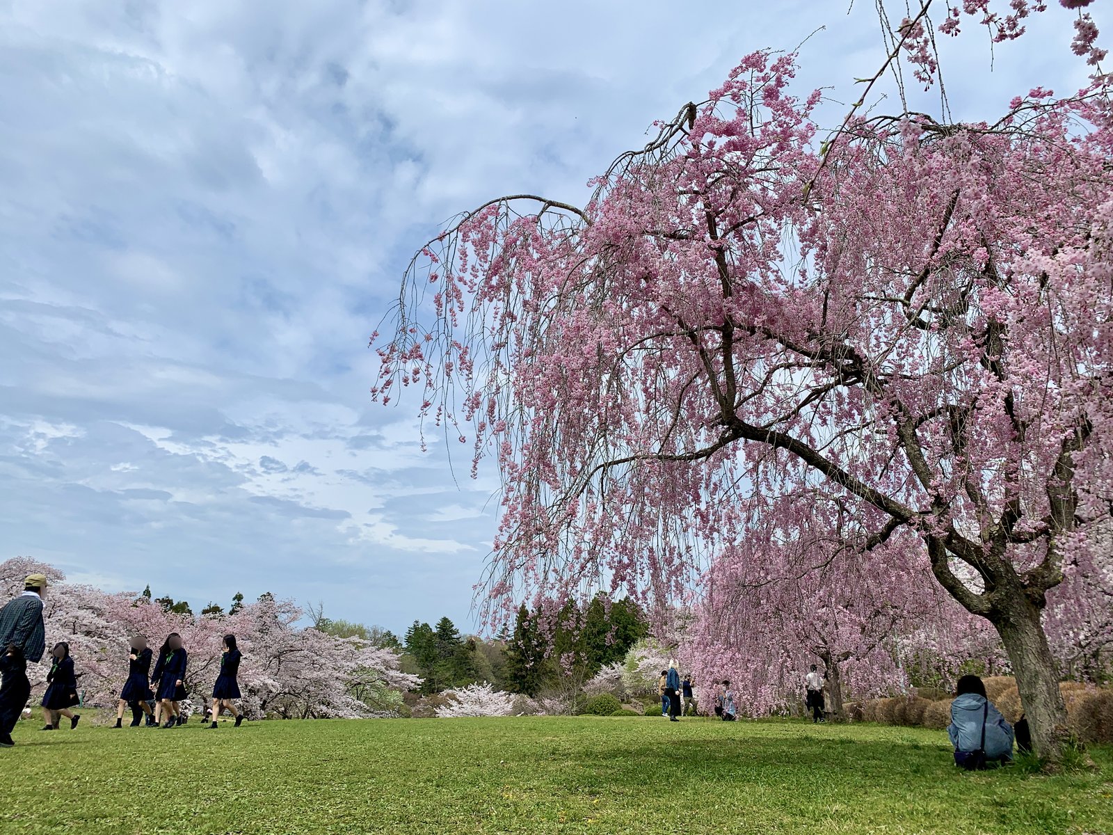 羊山公園