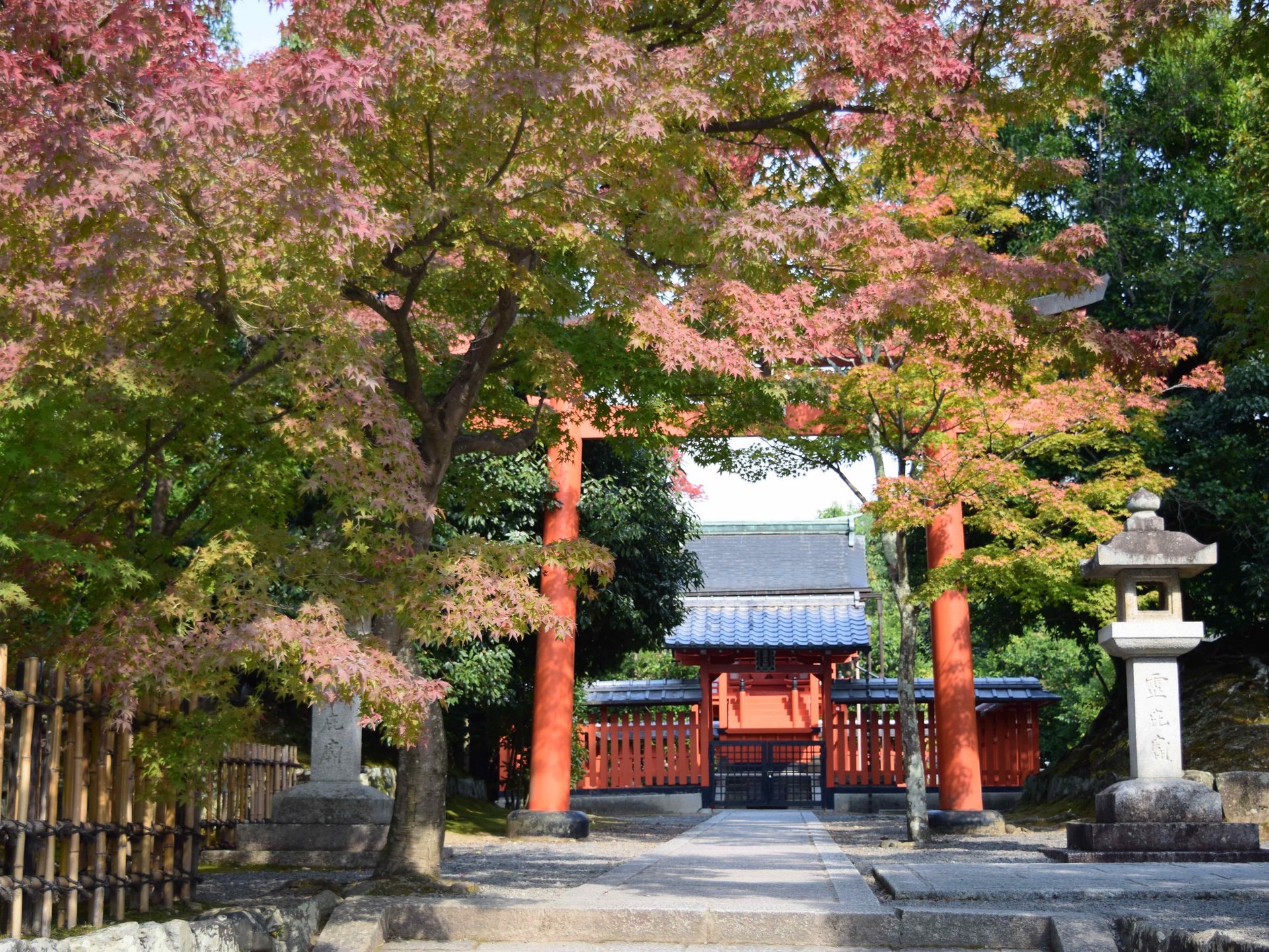 【秋の嵐山デート】紅葉狩りにピッタリの世界遺産・竹林の道・日本で唯一の髪の神社を巡るプラン♪