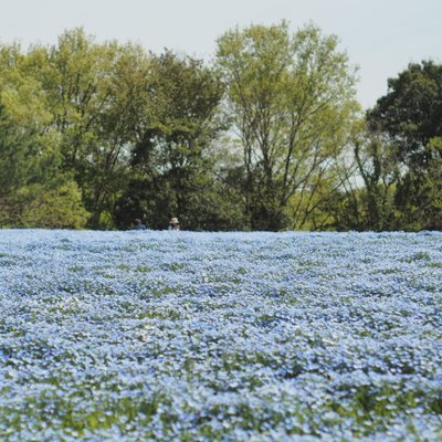 森林公園駅(埼玉県)