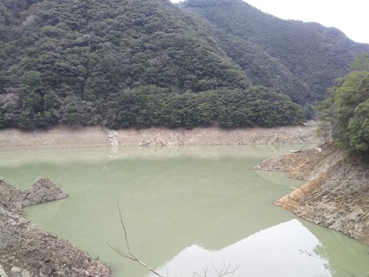 湖の駅