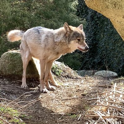 東京都多摩動物公園