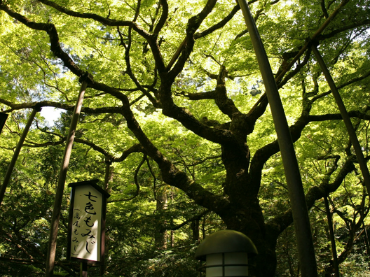 北口本宮冨士浅間神社