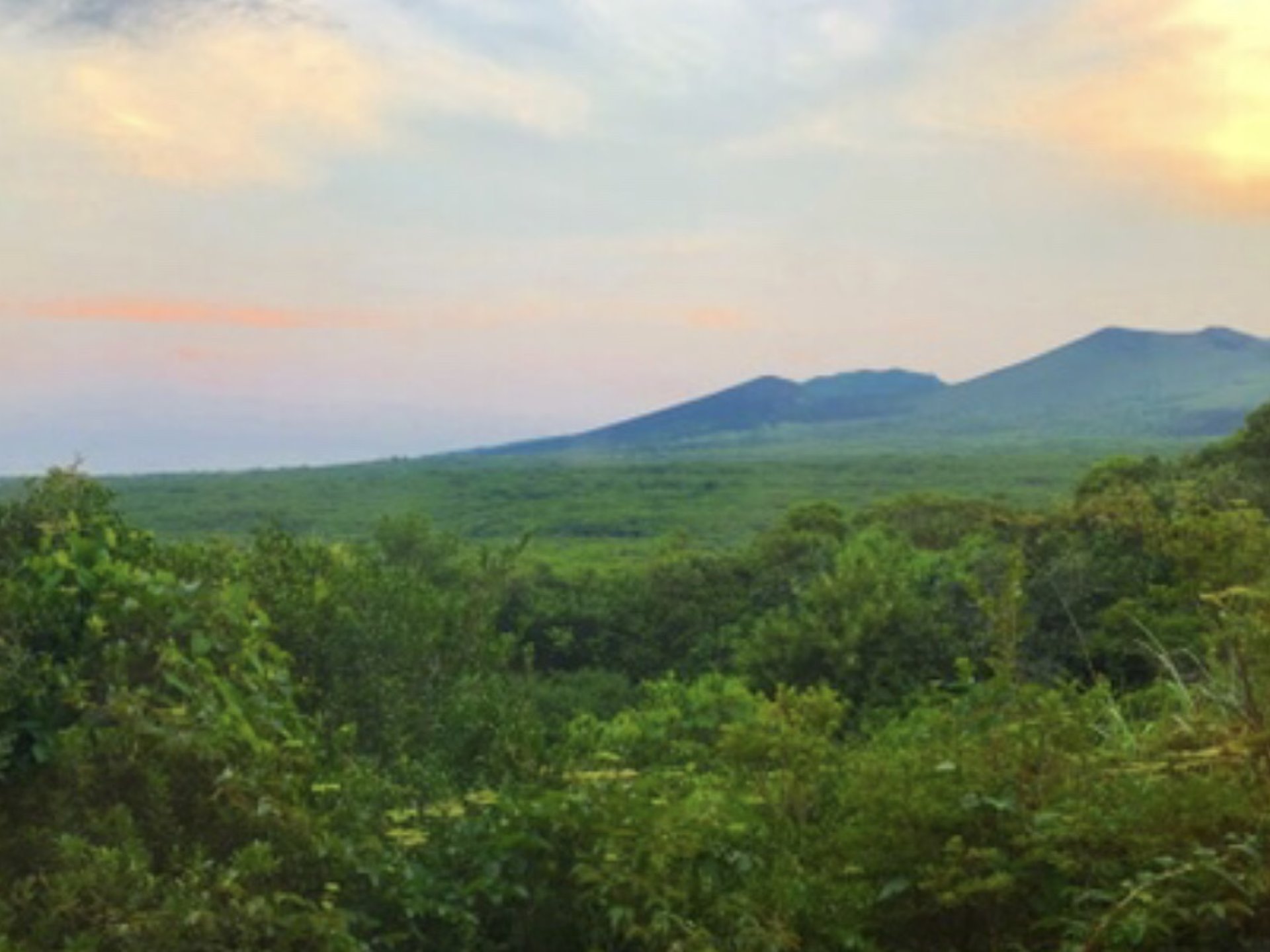 三原山山頂口