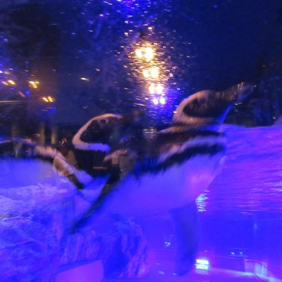 すみだ水族館