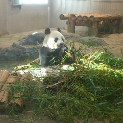 東京都恩賜上野動物園