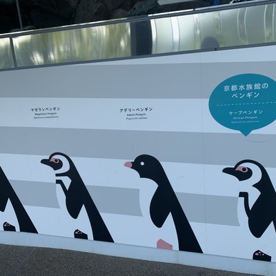 京都水族館