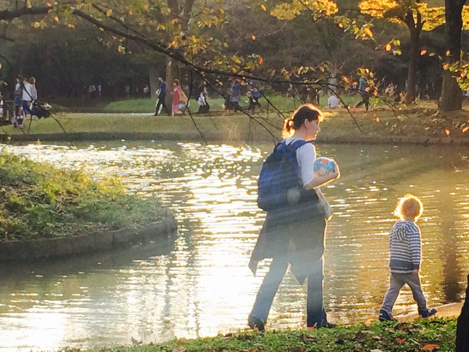 わんちゃんと触れ合いやお散歩が楽しめる 代々木公園で紅葉を楽しみながら原宿までお散歩デート Playlife プレイライフ