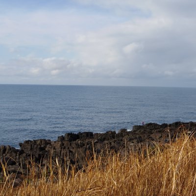 雄島