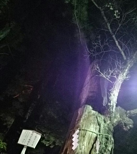 日光二荒山神社