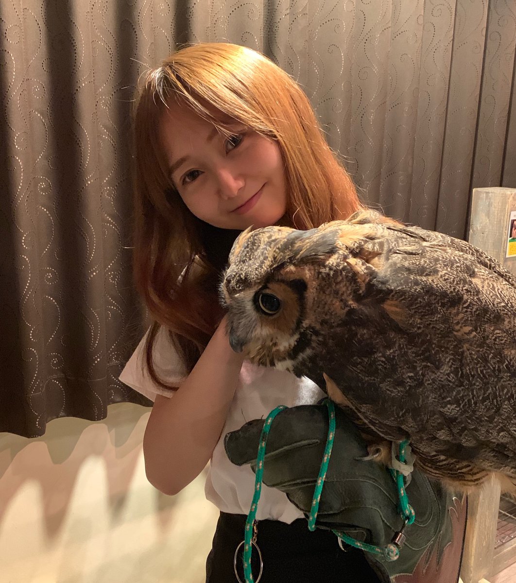 フクロウカフェ&バー 格闘梟