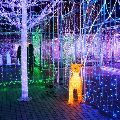 道の駅 神戸フルーツ・フラワーパーク大沢