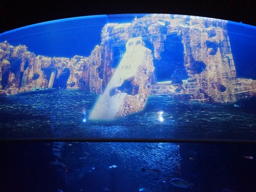 新江ノ島水族館