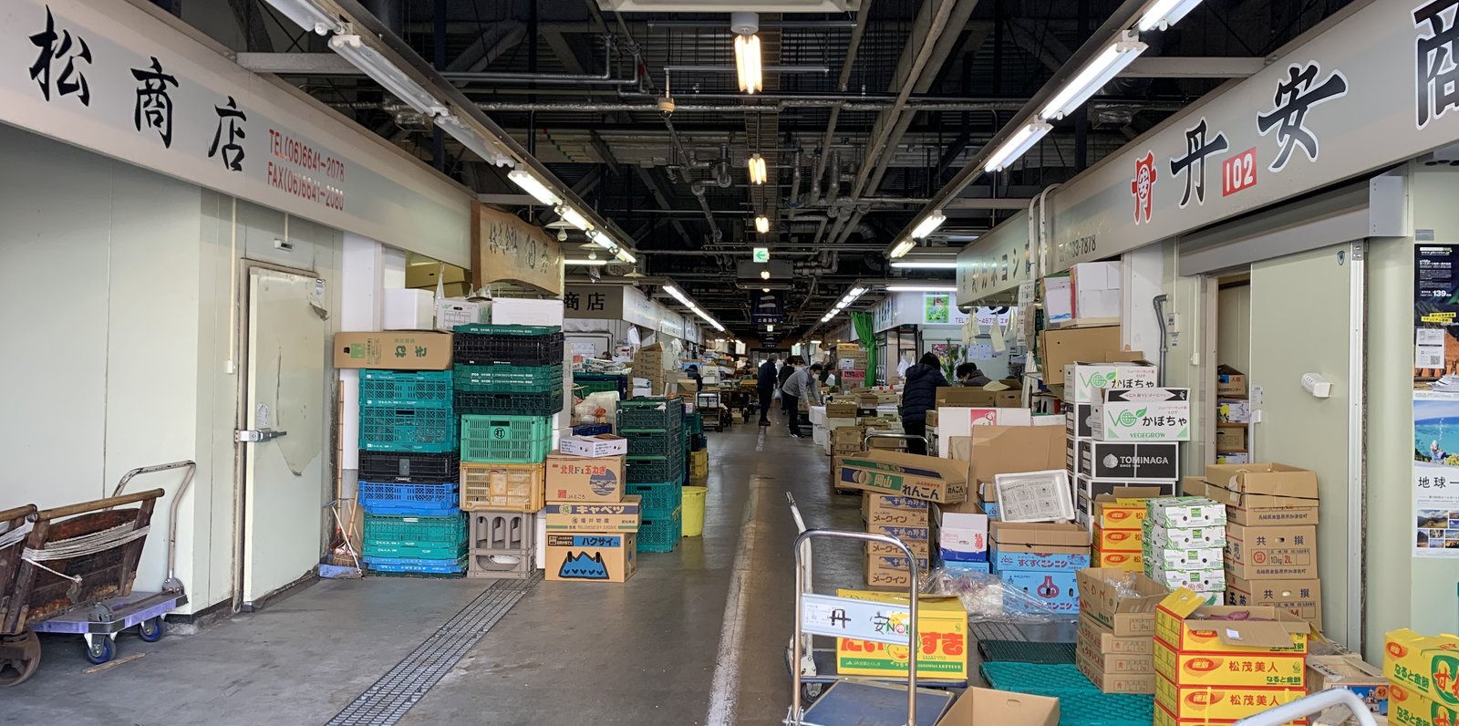 大阪木津卸売市場