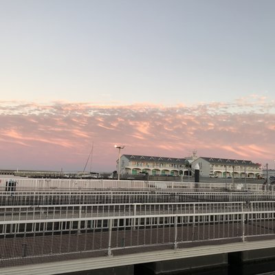 横浜 八景島シーパラダイスアクアミュージアム