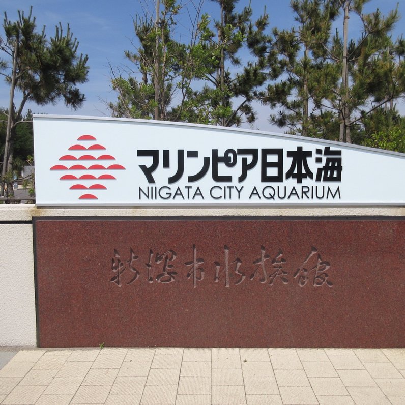 新潟市水族館マリンピア日本海