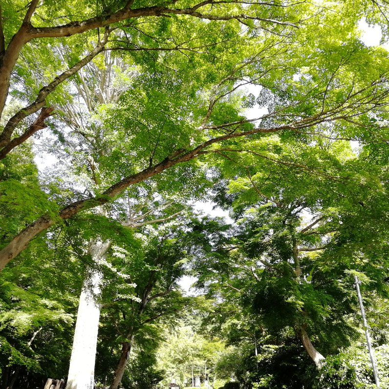 鷺森神社