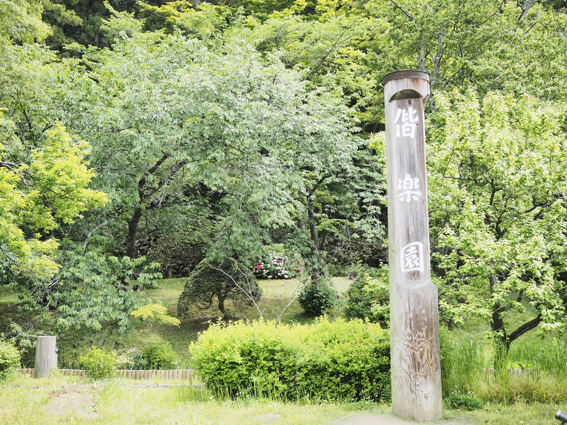 【茨城・水戸】水戸に来たら外せない！梅の名所「偕楽園」梅がなくても絶景があります♪