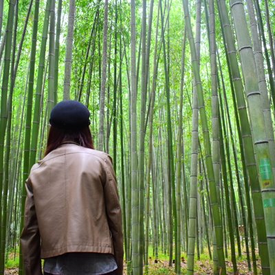 嵯峨野 竹林の道