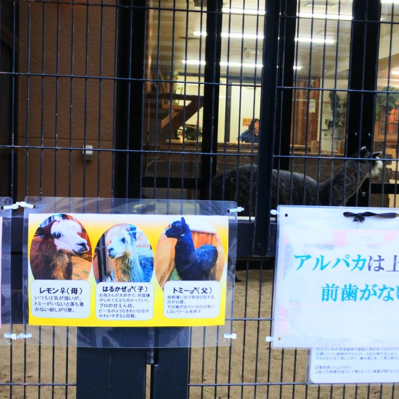 大阪ECO動物海洋専門学校