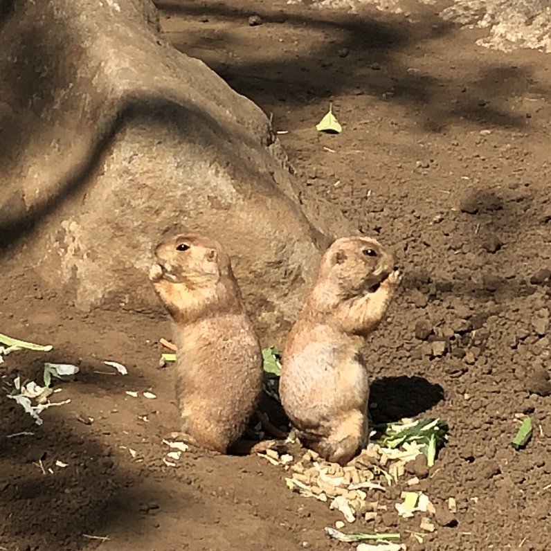 行船公園