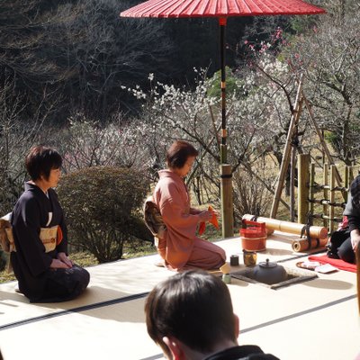 成田山公園内梅林