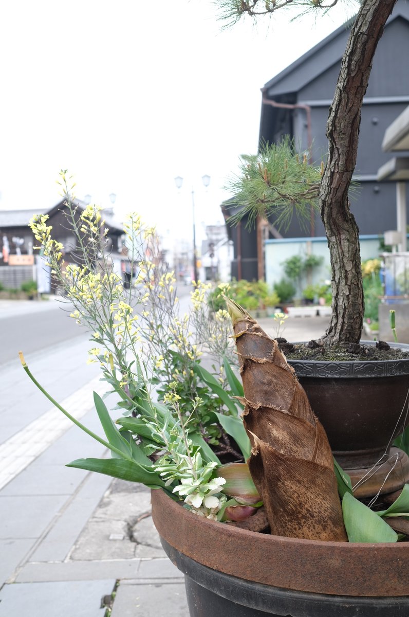 城藤茶店