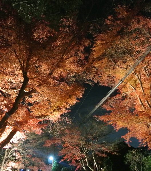 常寂光寺