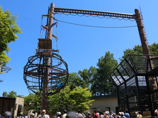 旭川市旭山動物園