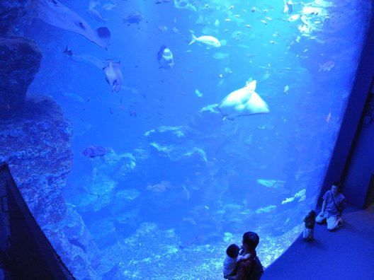 京都水族館