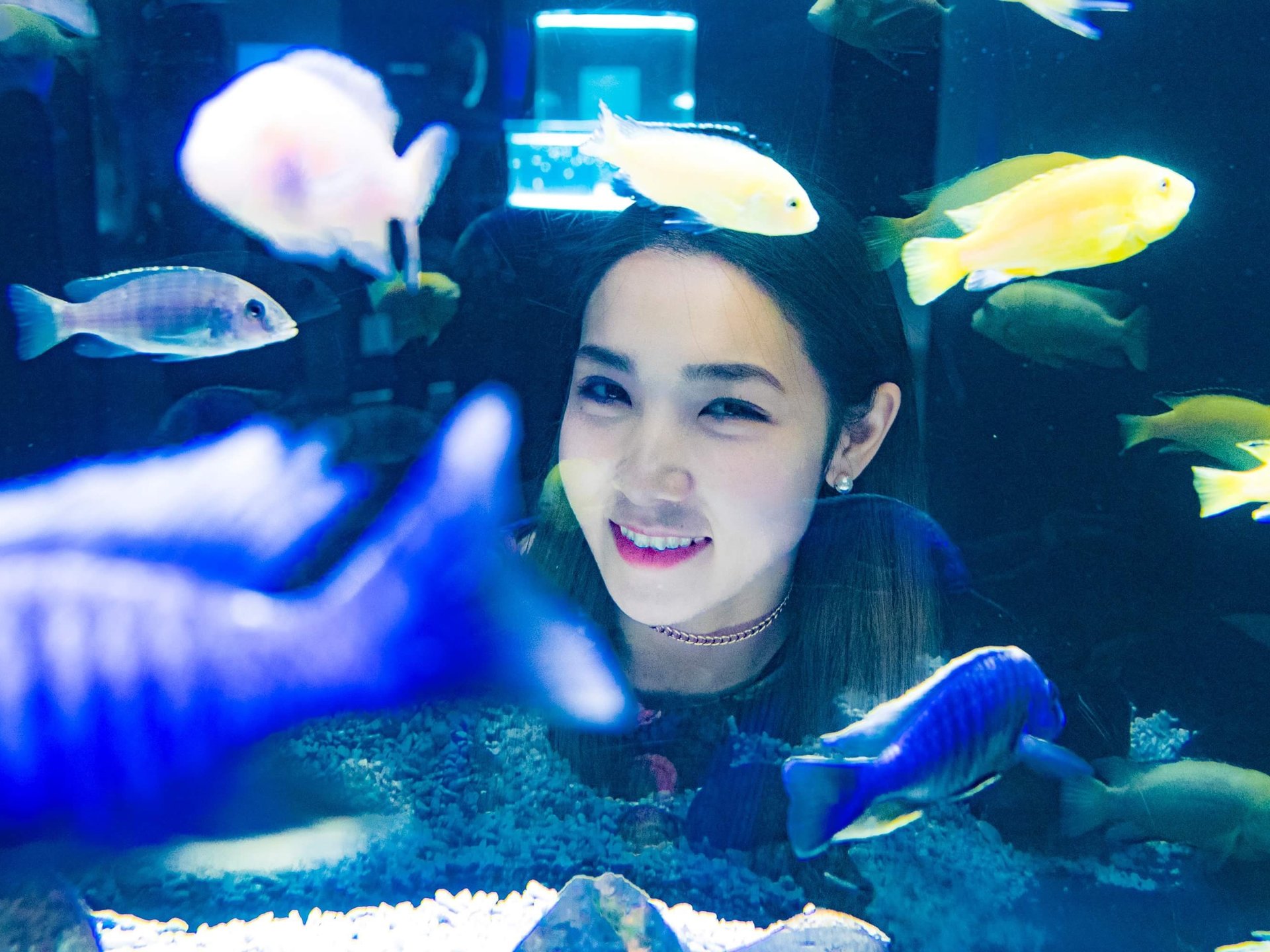 日本一と世界初がある水族館⁉注目スポット♡北海道フォトジェニック女子旅♡