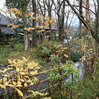 由布院 玉の湯