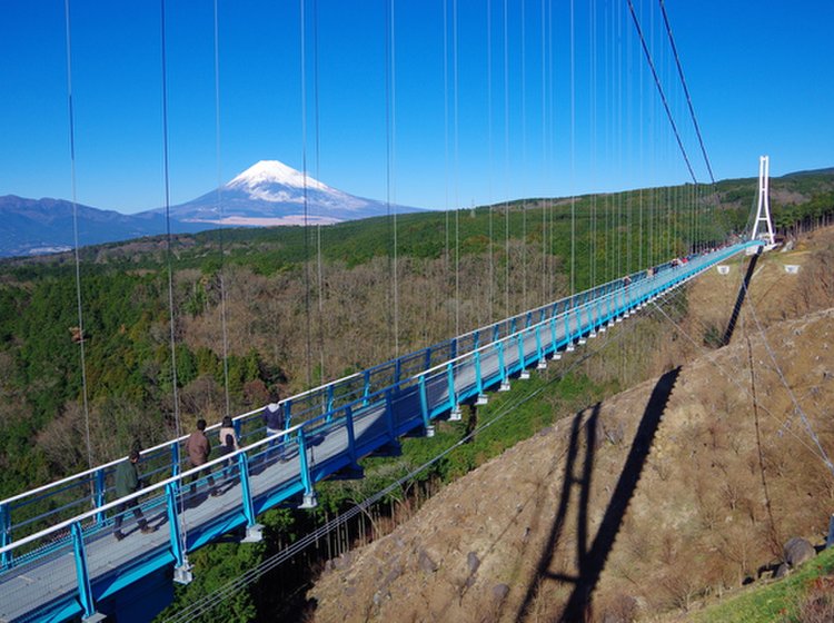 三島でウナギを食べて 三島スカイウォーク Misima Skywalk で富士山の絶景をのぞむ Playlife プレイライフ