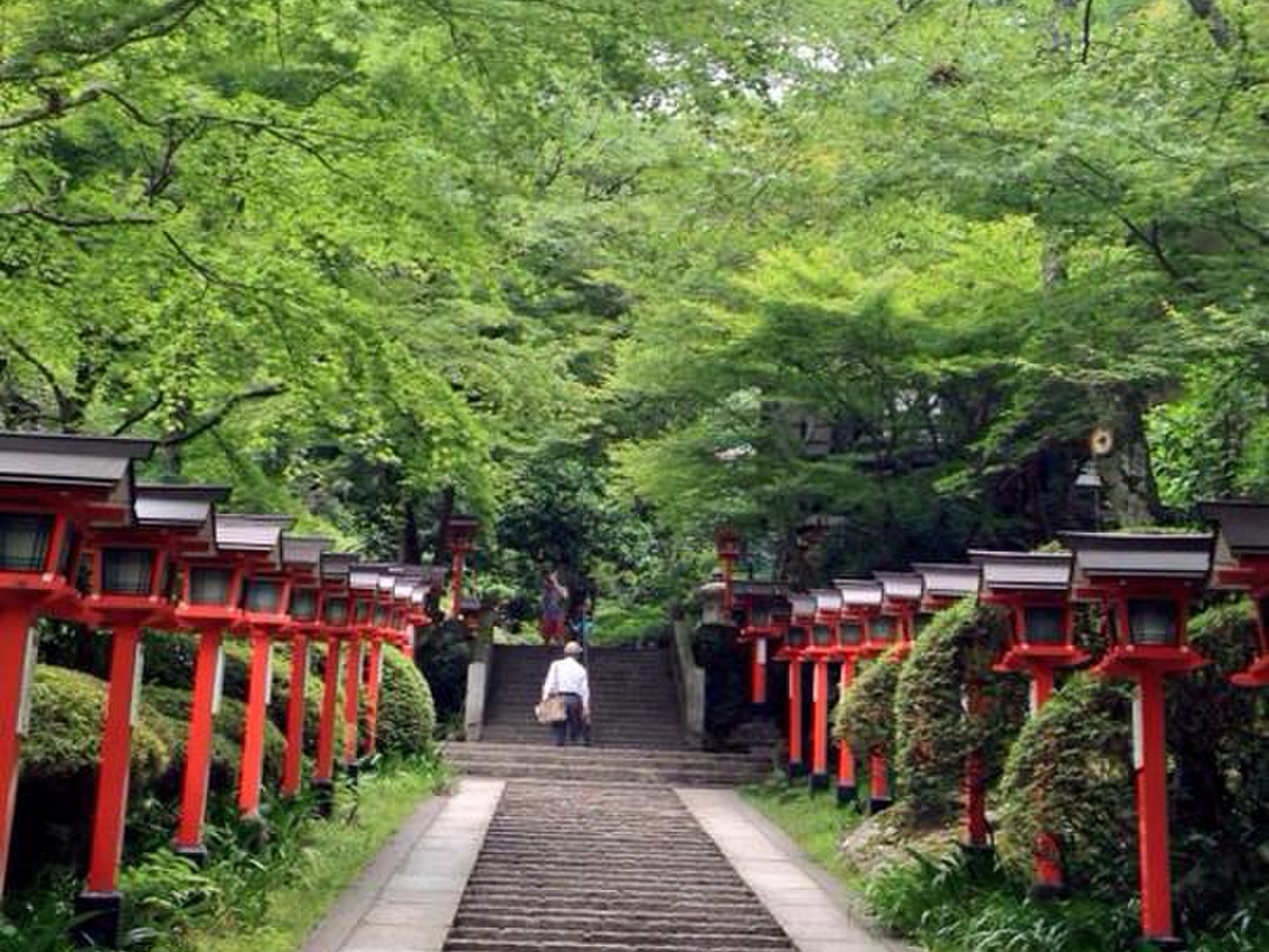 京都青もみじの定番、床もみじの実相院から鞍馬寺へ。御朱印集めも！