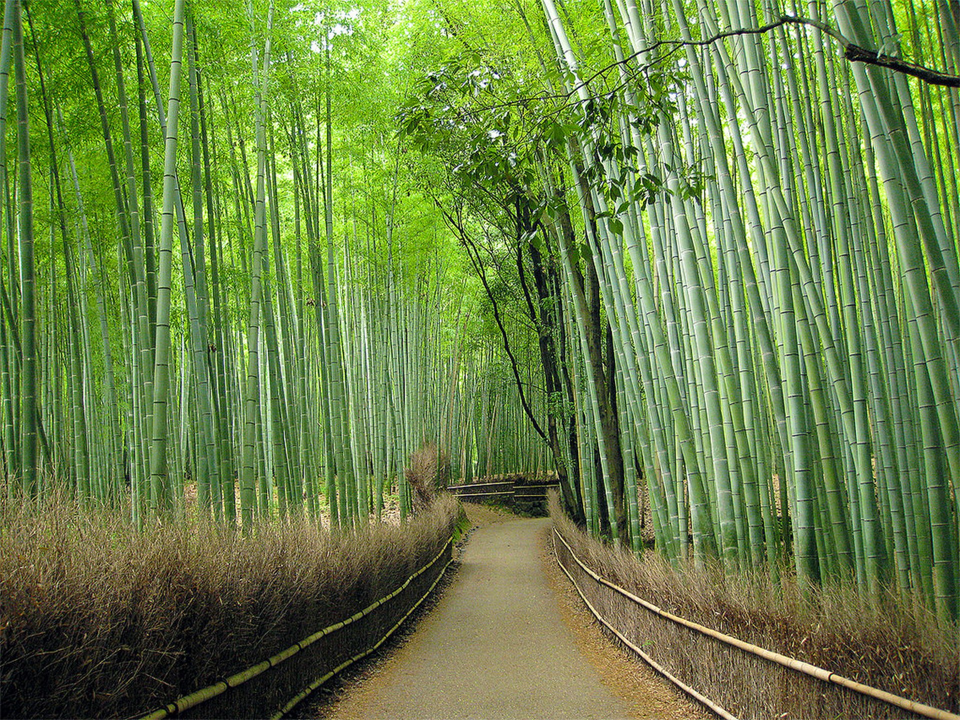 天龍寺 方丈