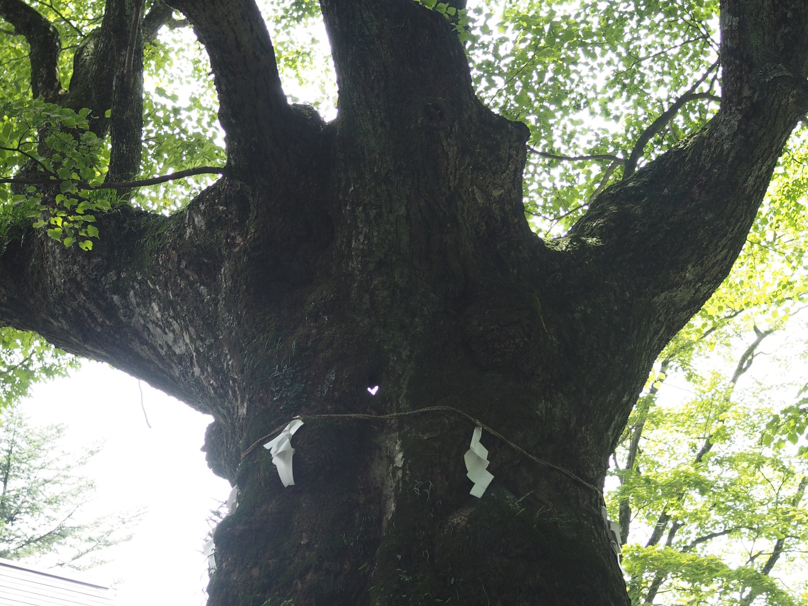 熊野皇大神社