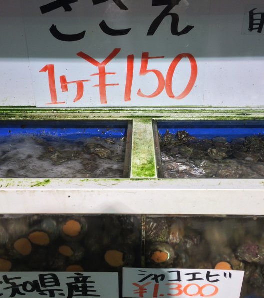 豊浜 魚ひろば