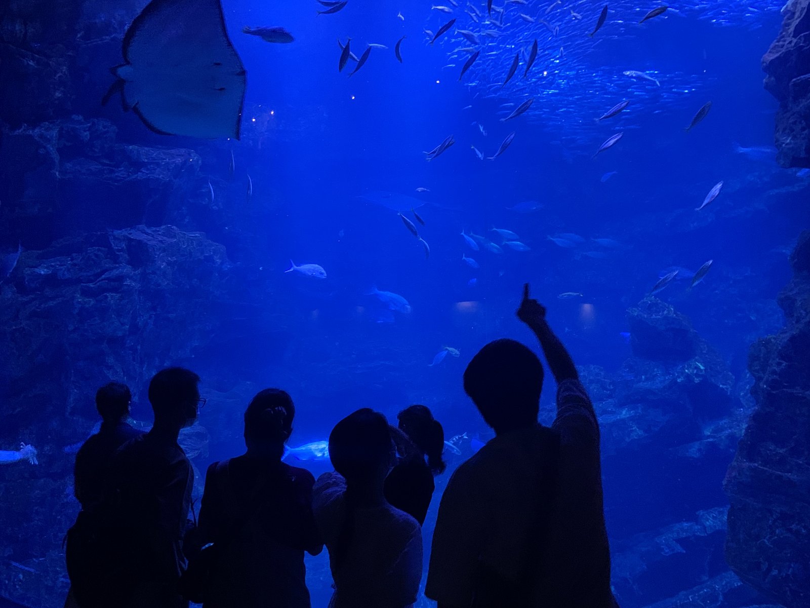 京都水族館