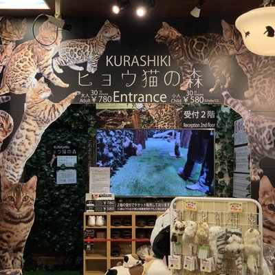 KURASHIKI ヒョウ猫の森