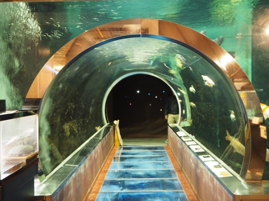 道の駅 みなかみ水紀行館