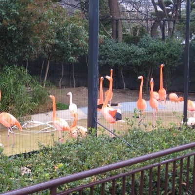 天王寺動物園